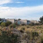 Alcino Soutinho's design of the Soutinho Conjunto de 28 Habitações em Banda at Bom Sucesso Resort, Obidos, showcasing a modern structure with a green rooftop and surrounding vegetation, including shrubs and plant communities.