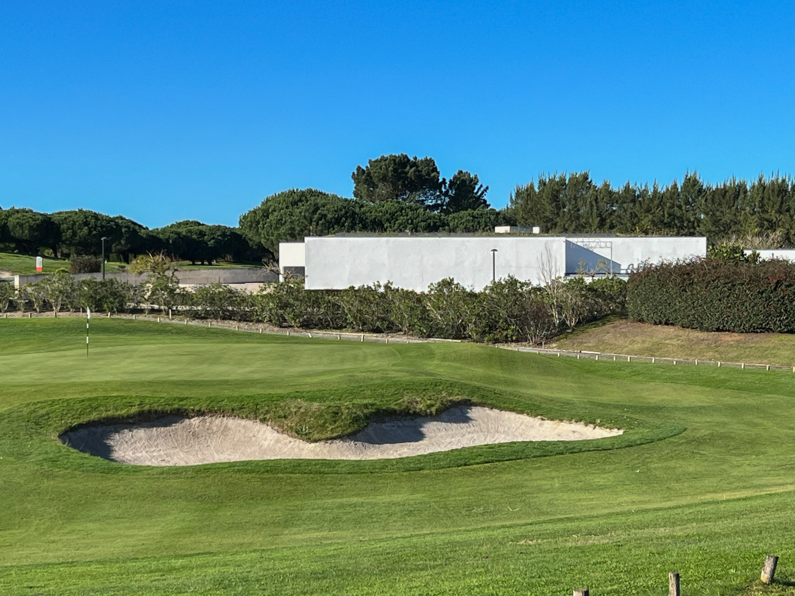 O Espaço de Siza no Bom Sucesso – Nave Lagoa